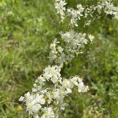 24-05-18 16-10-06 9471